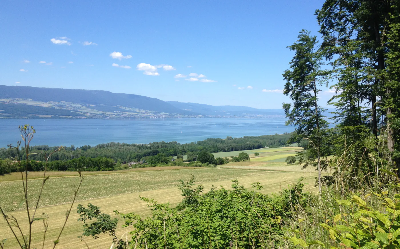 Le lac de Neuchâtel depuis Yvonand